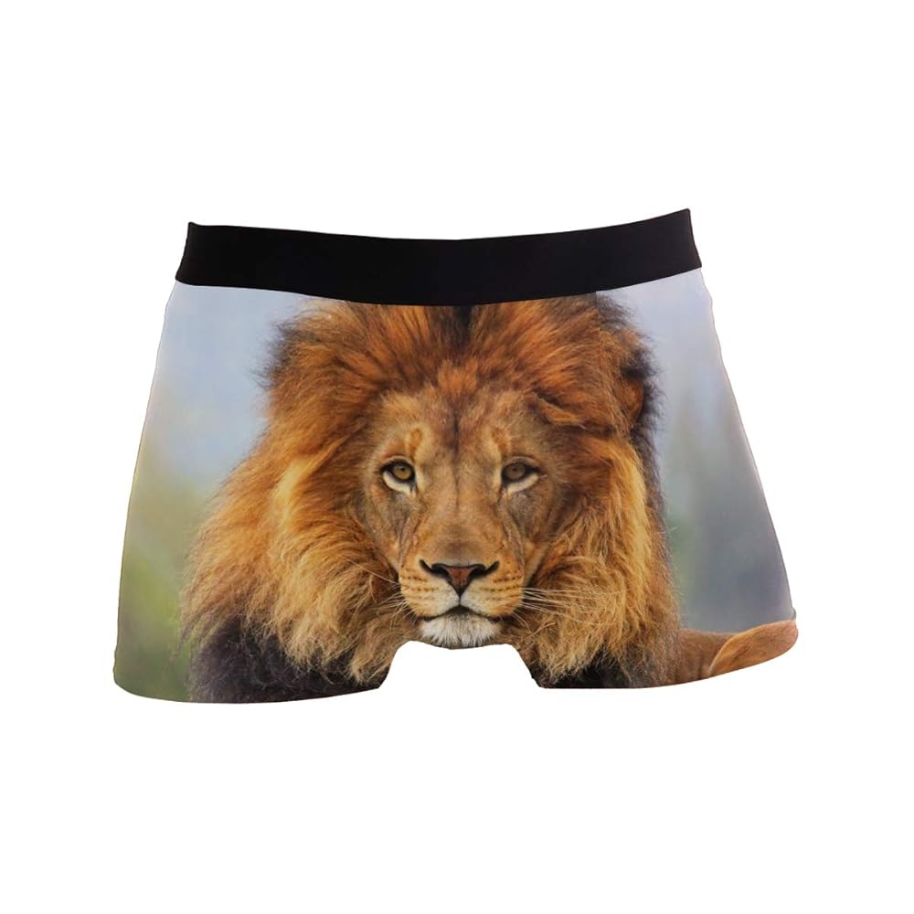 hengpai Lion Mane Eyes Prints Men's Boxer Briefs Soft